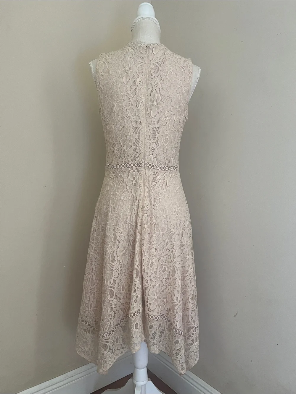 Taylor by Anthropologie Sleeveless Lace V-Neck Midi Dress in Nude